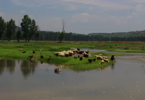 山西黄土高坡风景图片第张
