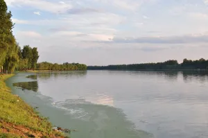 北京潮白河风景图片第张