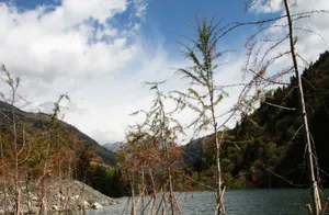 黑龙江达古冰川风景图片第张