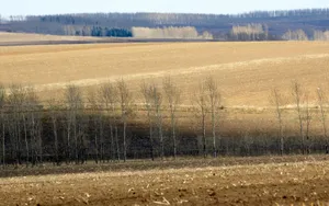 阿城区野外风光图片第张