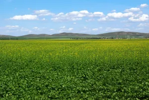 内蒙古多伦县风景图片第张