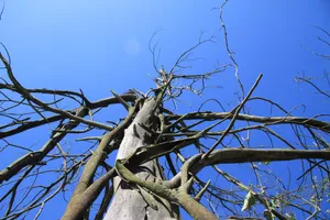 云南曲靖翠峰山风景图片第张