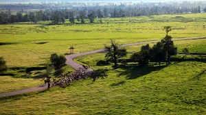 新疆那拉提草原图片第张