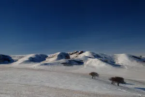 河北承德木兰围场冬季风景图片第张