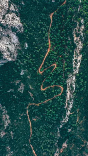 绿色树林风景航拍图第1张