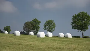 绿色树木草地风景图片_1