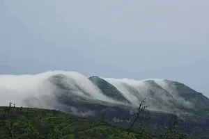 青山图片_1
