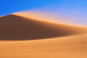 荒凉沙丘图片_1