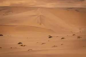 沙漠戈壁风景图片_1