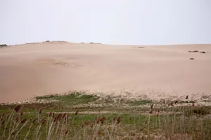 沙漠化图片_1