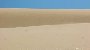 沙丘细沙图片_1