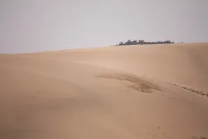 沙漠沙丘图片