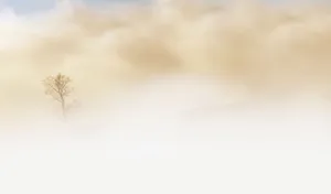 沙漠风沙图片_1