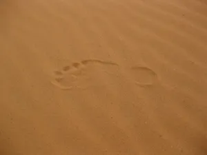 沙漠脚印图片