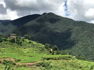 乡村田园风光图片