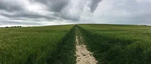 绿色田园风景图片