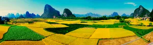桂林田园风光图片第1张
