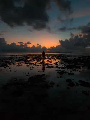 退潮海边黄昏美景图片