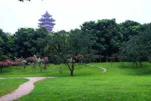 树林草地宝塔图片_1