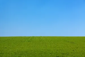 草原桌面风景图片