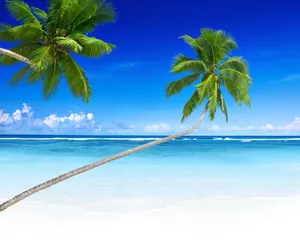 海边图片背景_1