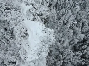 白雪森林冬季风景图片