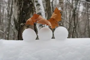 冬季地面积雪风景图片_1