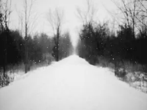 黑白意境冬季雪景图片_1