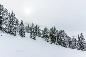 冬天雪景摄影图片第1张