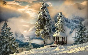 冬季雪景唯美图片