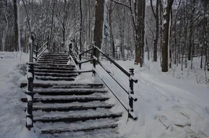 冬日雪景图片