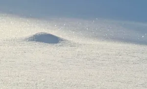 雪地图片第1张