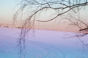 冬日摄影雪景图片第1张