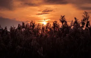 黄昏夕阳唯美风景图片第1张