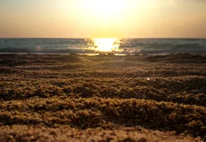 海边沙滩日出图片