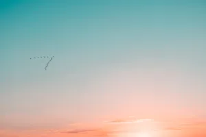 黄昏天空唯美意境图片
