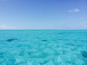 碧蓝色的大海图片_1