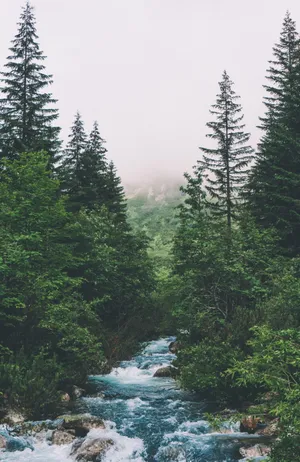 奔腾流水风景图片_1