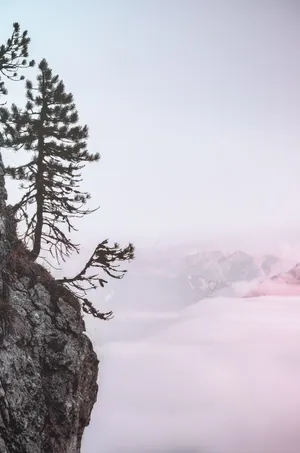 高山云海风光图片