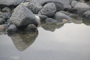 河边石头近景图片_1