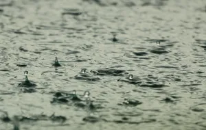下雨天雨水图片_1
