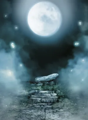 浪漫圆月夜图片_1