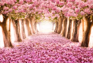 春天粉色落花风景图片_1