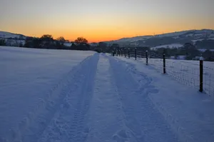 高清雪的风景图片