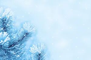 高清漫天雪花图片