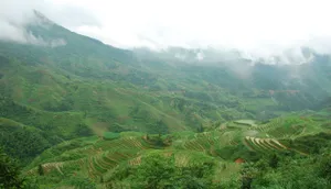 高清绿色山脉图片