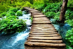 高清木桥风景图片_1