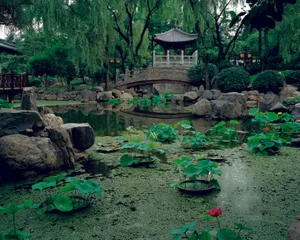 高清公园风景图片
