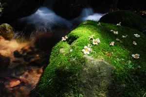 山野风景素材图片