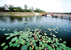 别墅风景素材图片